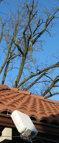 HF antenna tuner, ground radials, and aerial