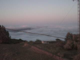 Sea of fog